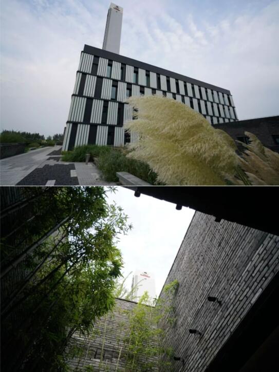森林舞会官网电梯工厂