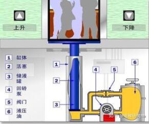 森林舞会官网-追求康健,你我一起生长